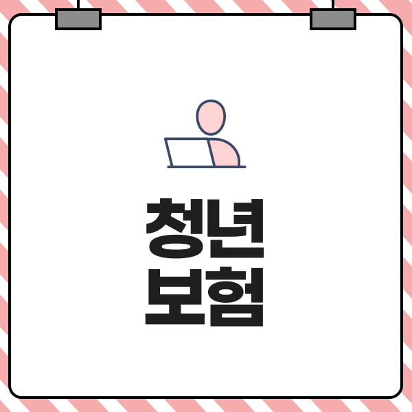 청년보험