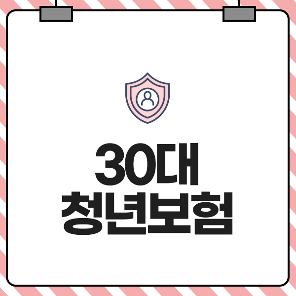 30대 청년보험