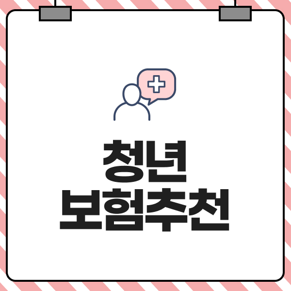 청년보험 추천