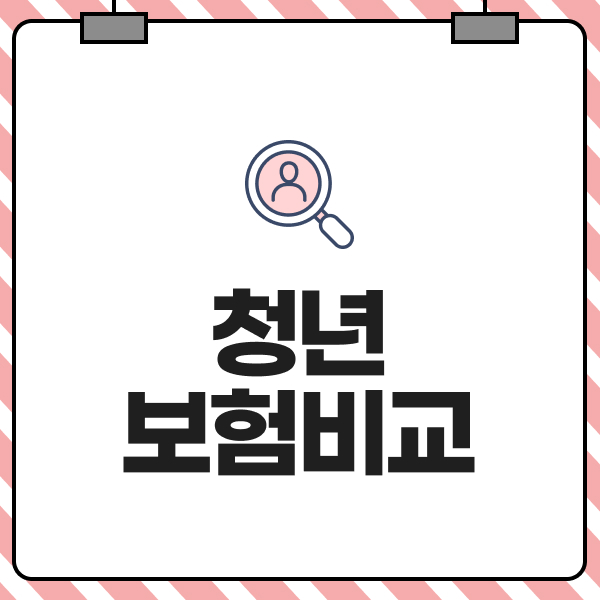 청년보험 비교